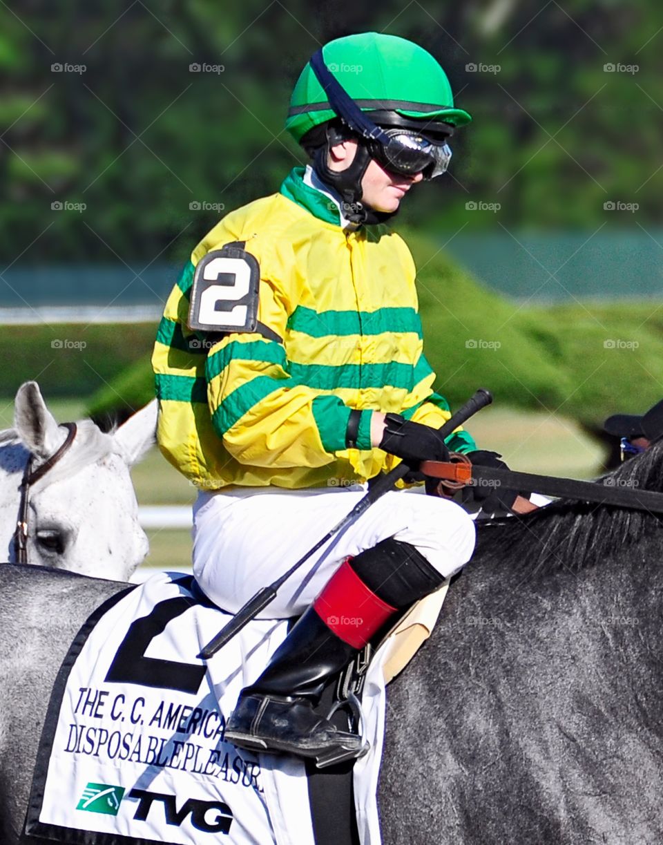 Rosie Napravnik. Retired female jockey Rosie Napravnik riding a Todd Pletcher Giacomo filly,  Disposable Pleasure

Zazzle.com/Fleetphoto 