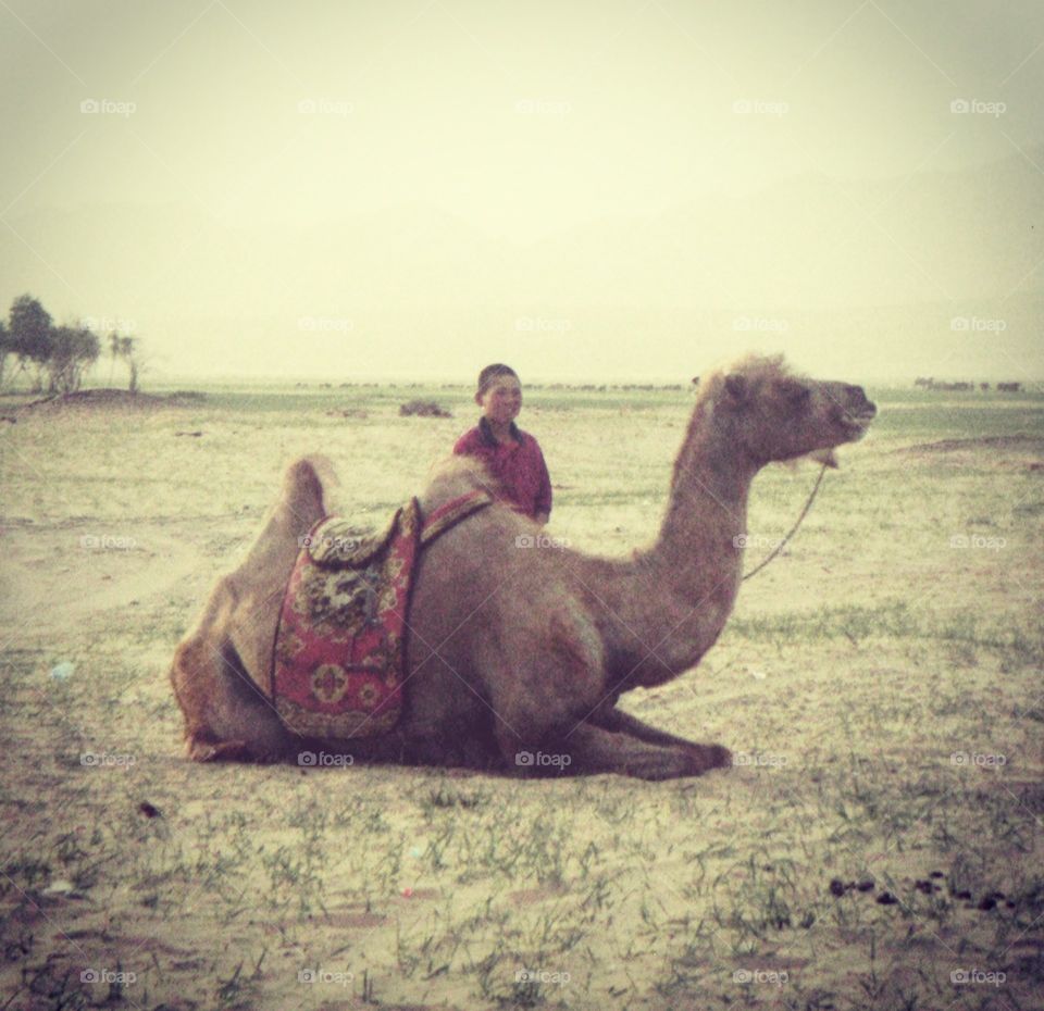 boy and camel on the edge of the Gobbi desert