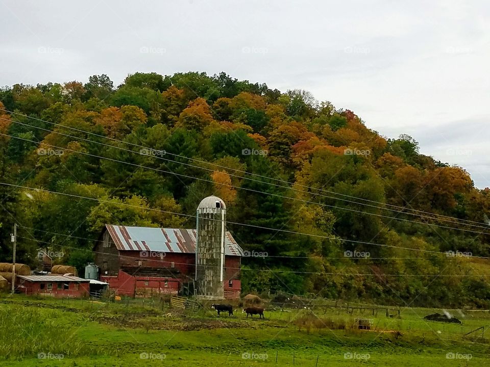 Driving the Back Roads and enjoying everything around us