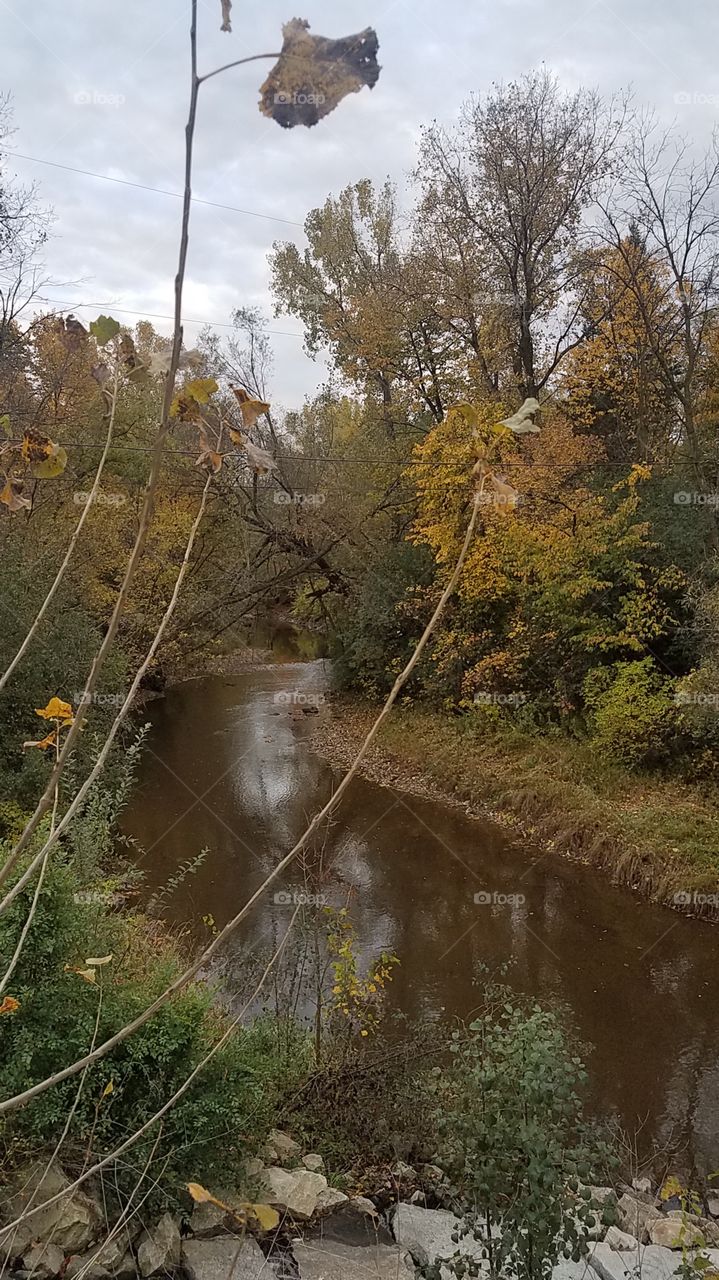 River in the Fall