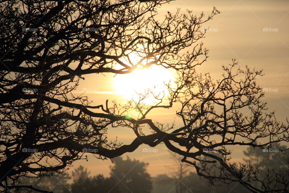 sunrise. sunrise in Belgium