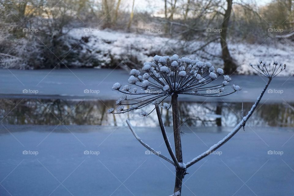 Frozen river ... I love this Winter image showing the river almost totally frozen over but having the middle like a mirror 