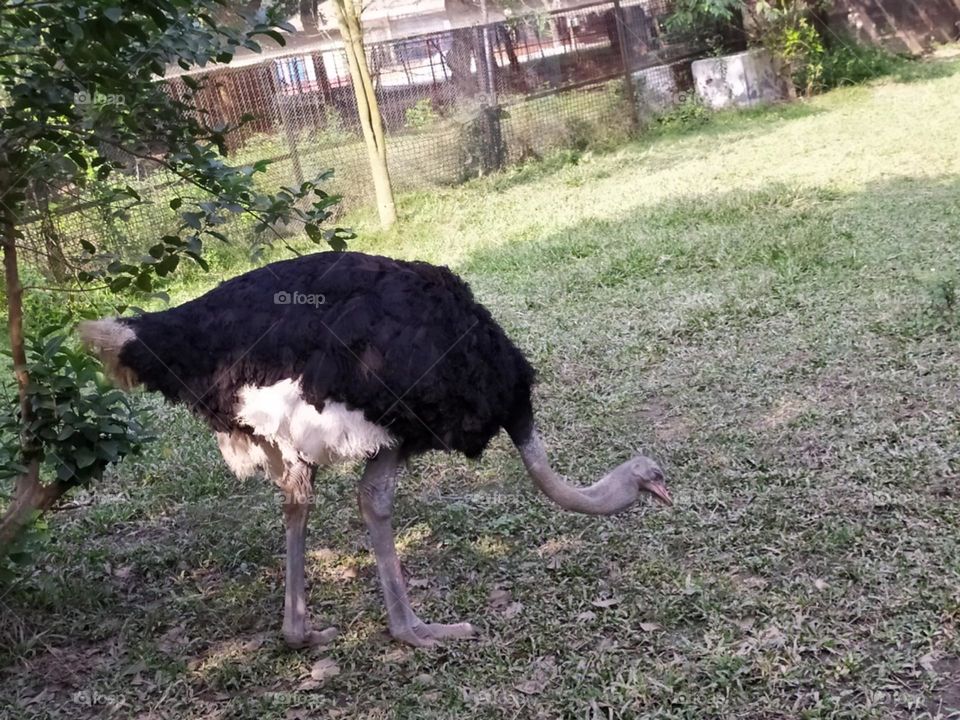 Editors' Choice:Photo of the week