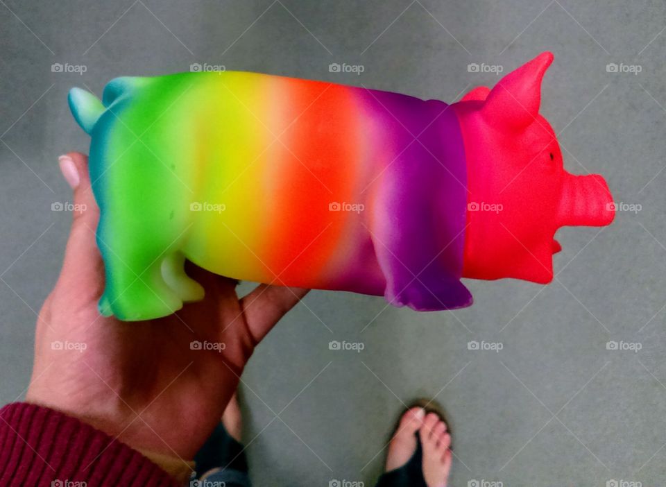 Rainbow Pig