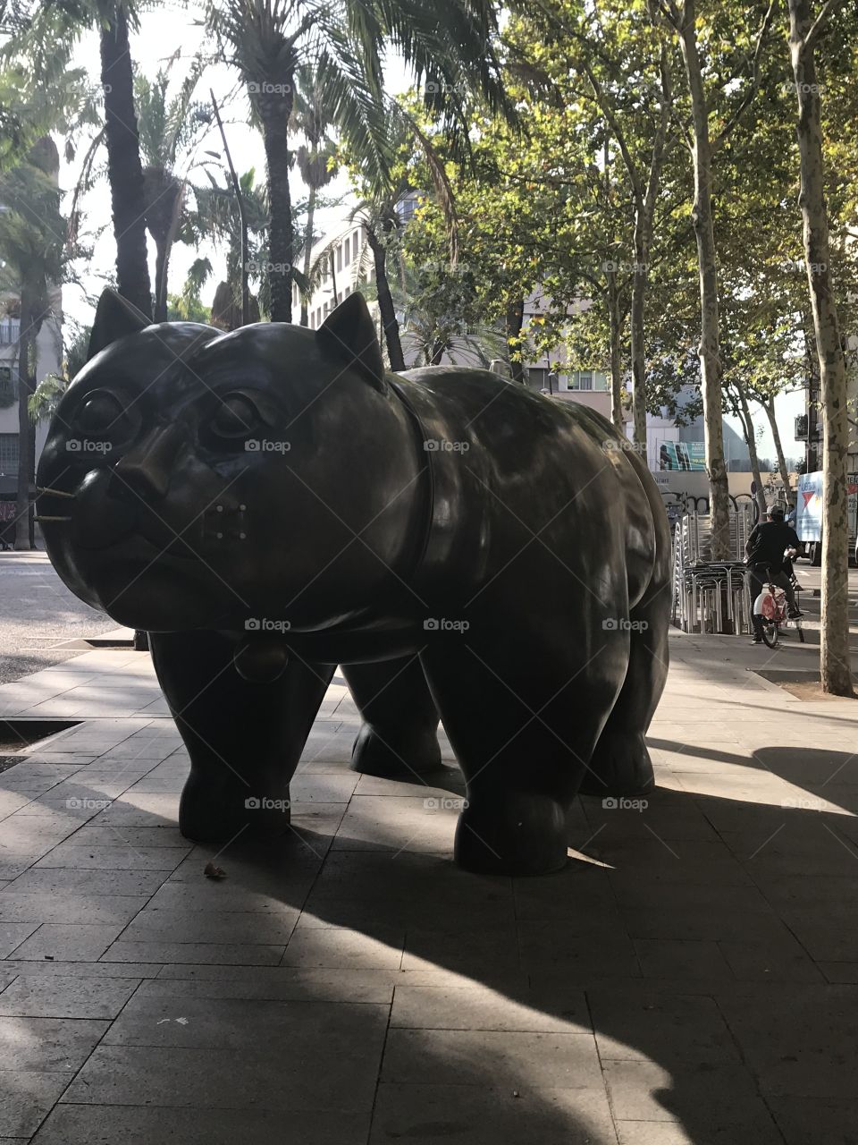 Kitty Cat Barcelona 