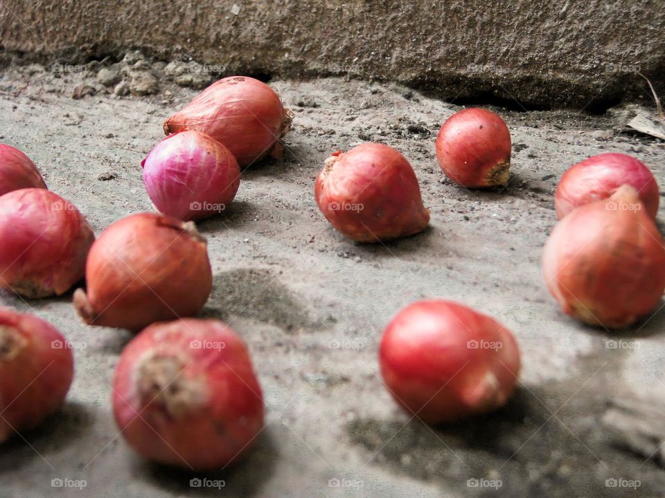 Close-up of fallen red onions strewn on the ground