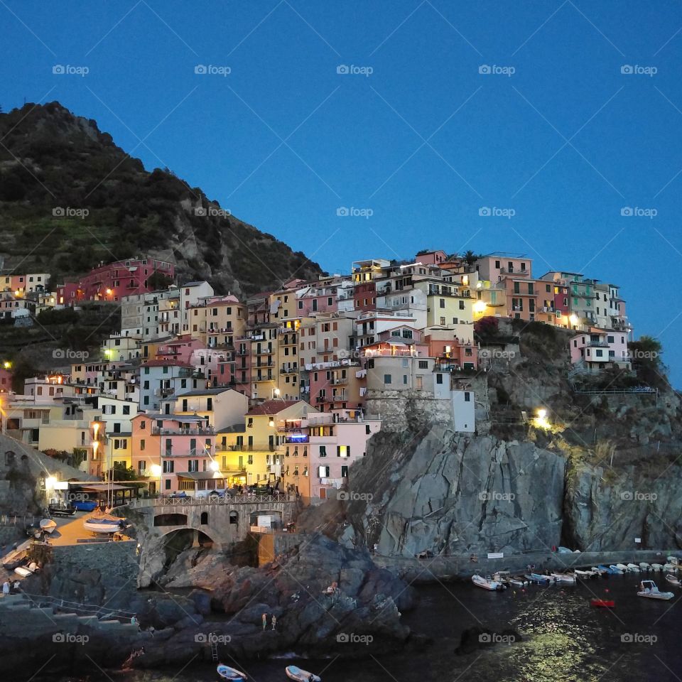 Manarola by night