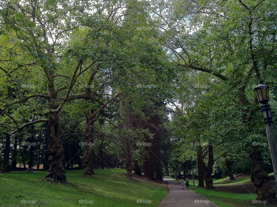 Laurelhurst Park