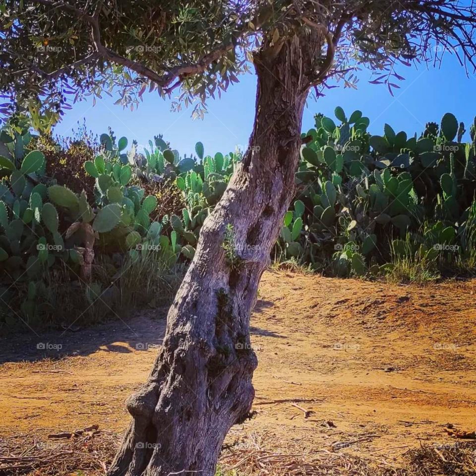 A scene of beautiful nature from my photography. I hope you guys support me