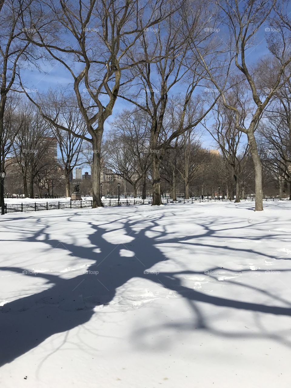 Playing with the shadow