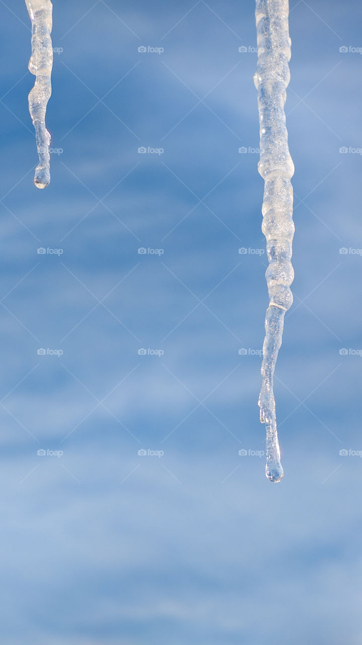 Melting icicles against the blue sky