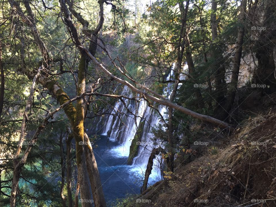 Burney Falls, CA a view from the walking trail