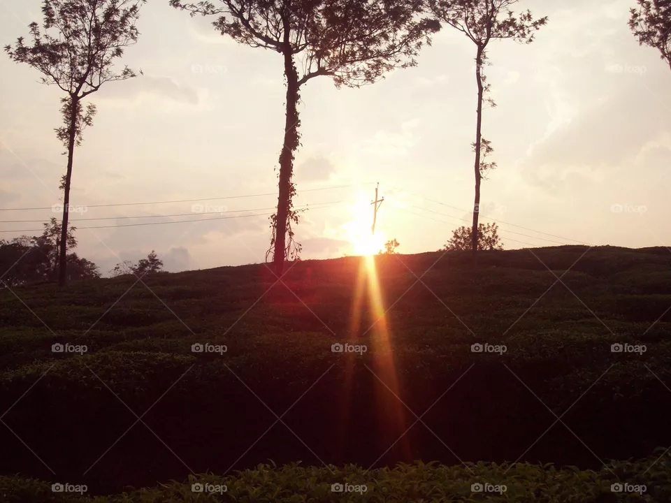 sunset
