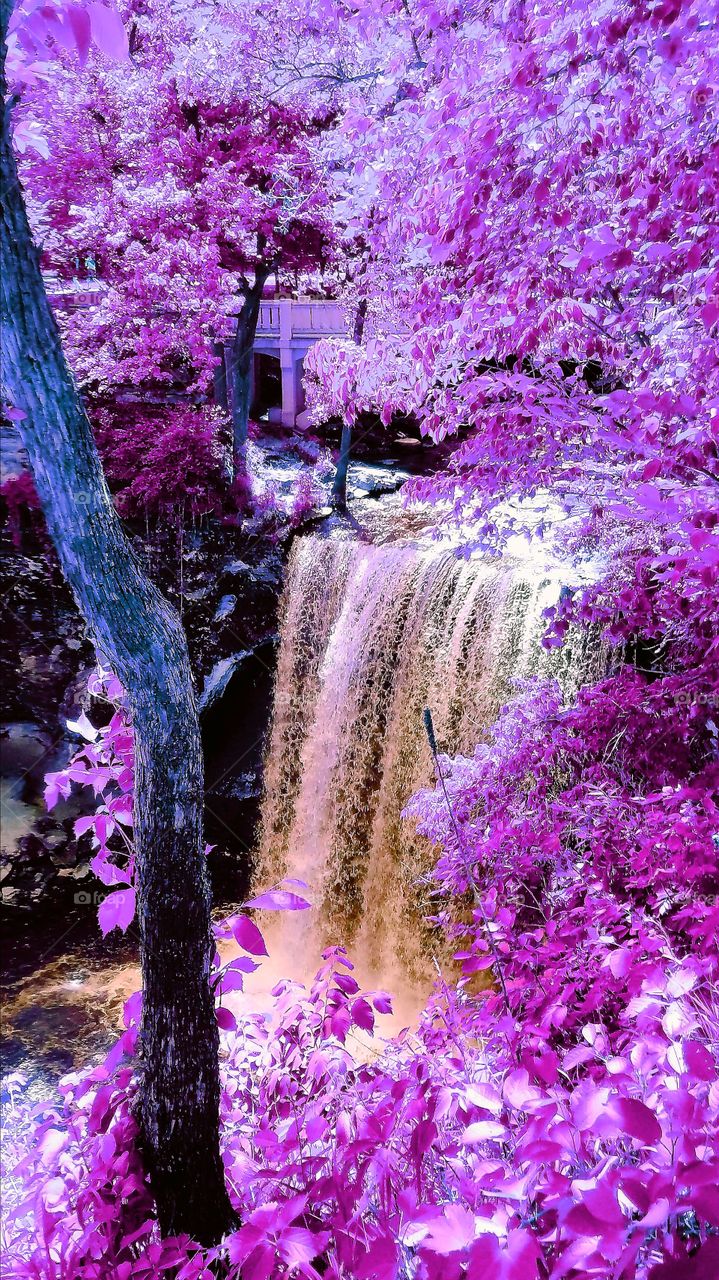 beautiful colorful waterfall in Minnesota forest