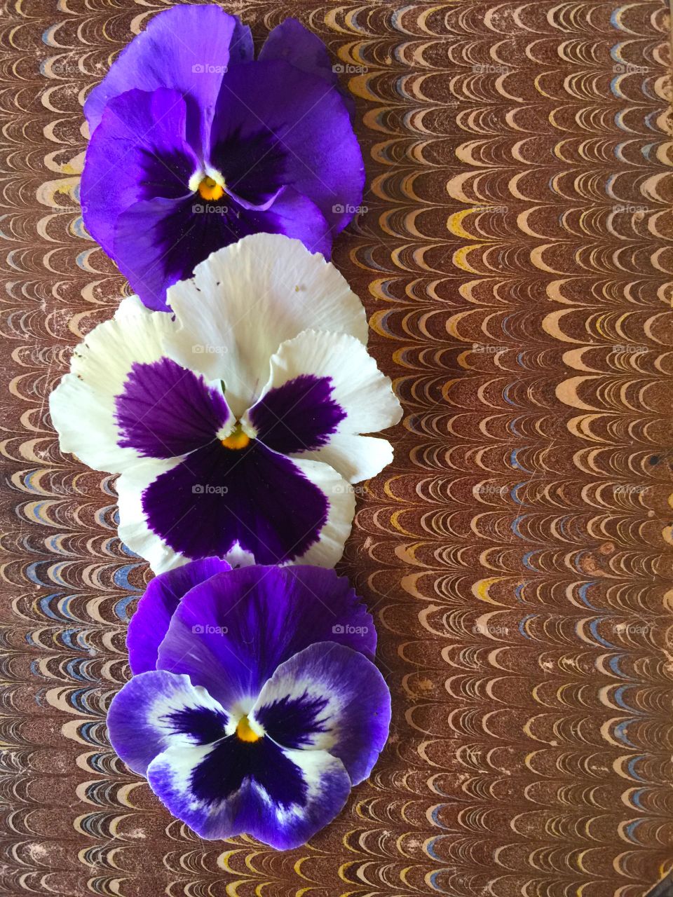 Pansies on a vintage book cover