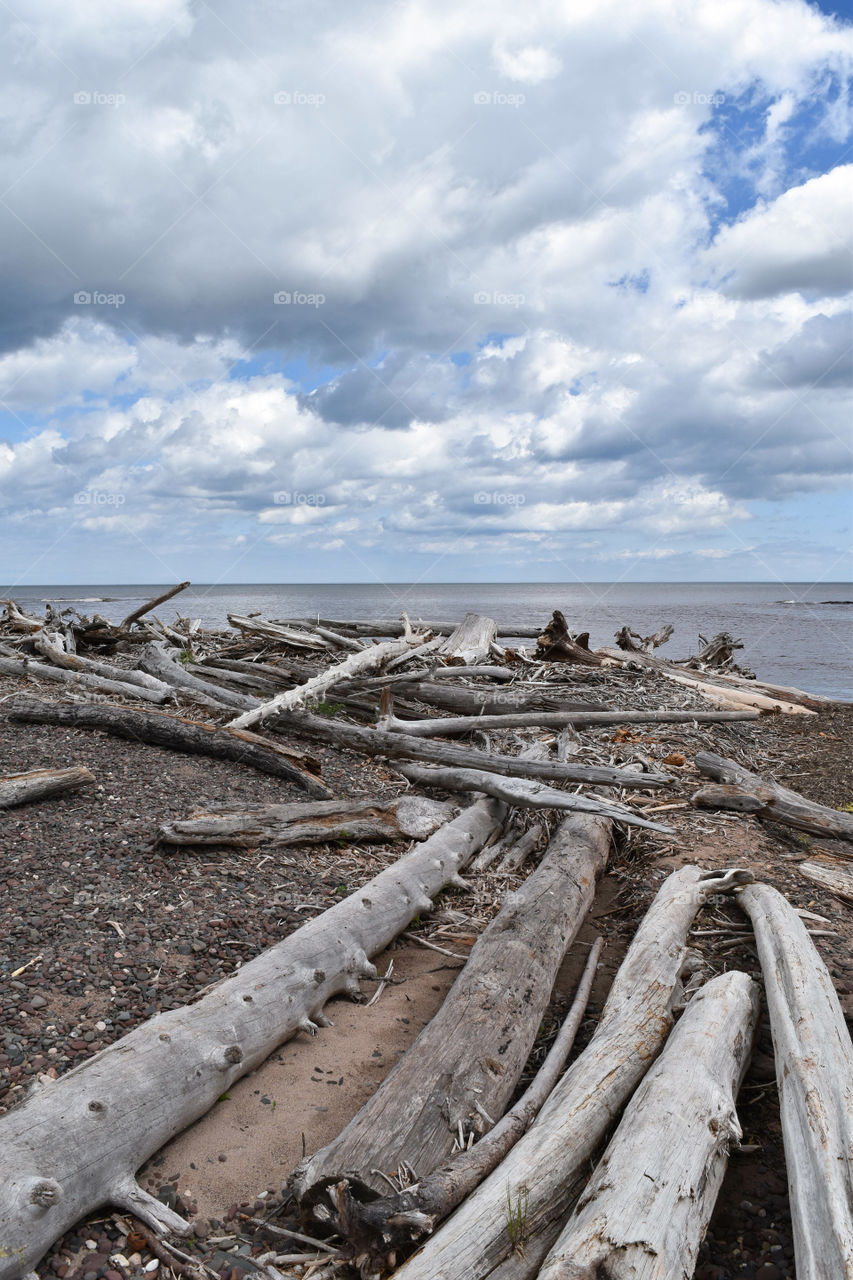 Drift wood on the Lake Superior shore