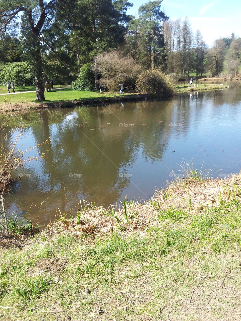 Water, Nature, Landscape, Grass, Pool