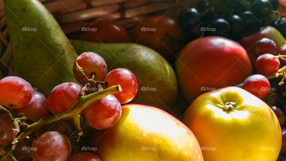 Apples, grapes,  pears, persimmons