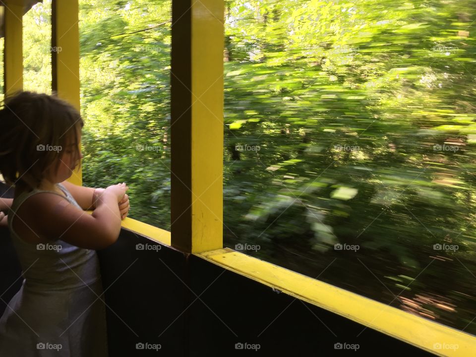 Girl Looking Out The Window Of A Moving Train