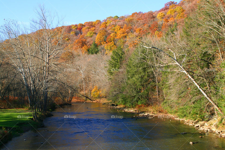 Autumn in Ohio ( Series )
