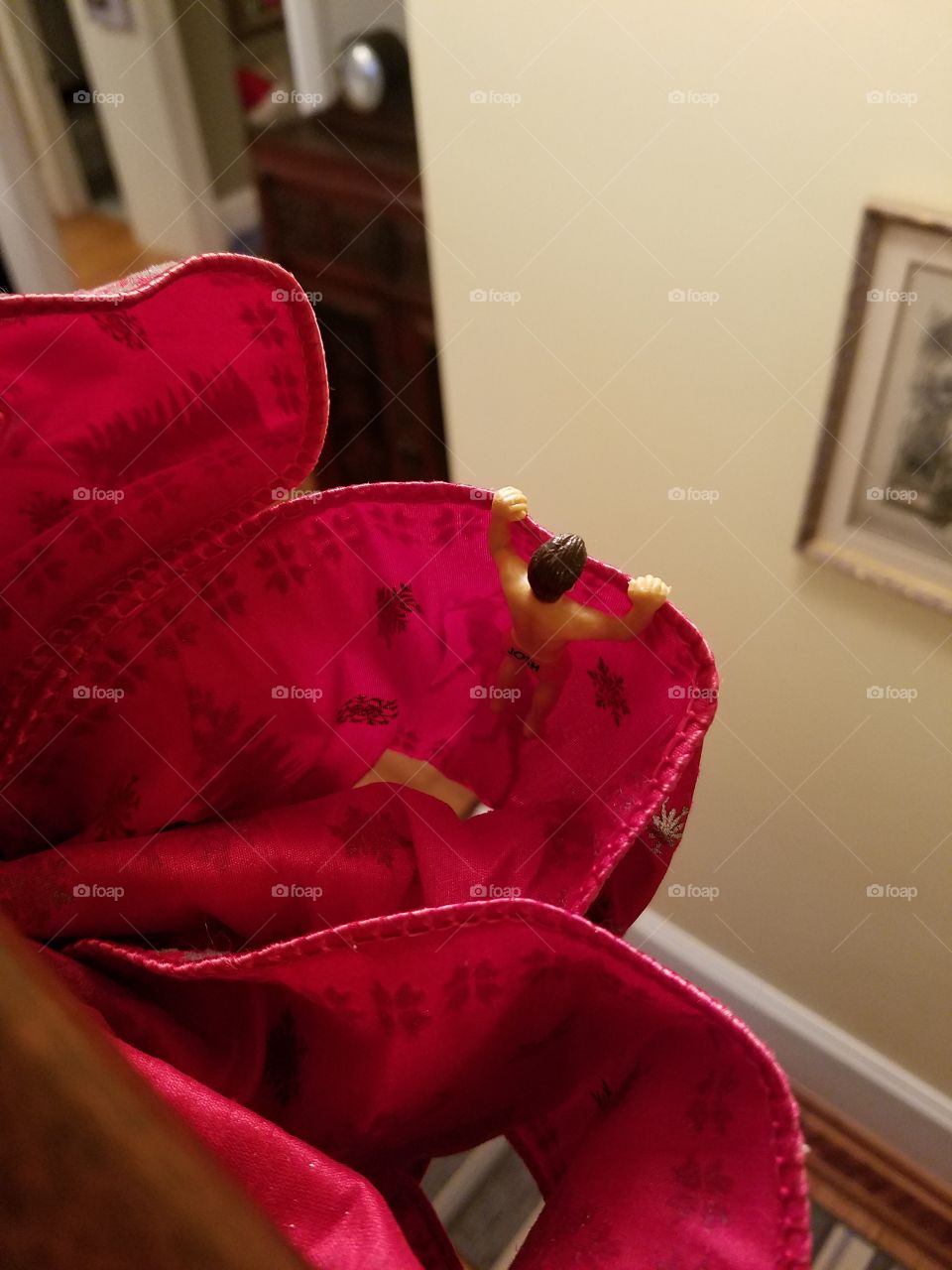 hiding in the red bow