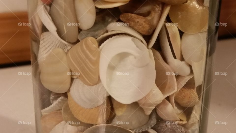 wine bottle of shells