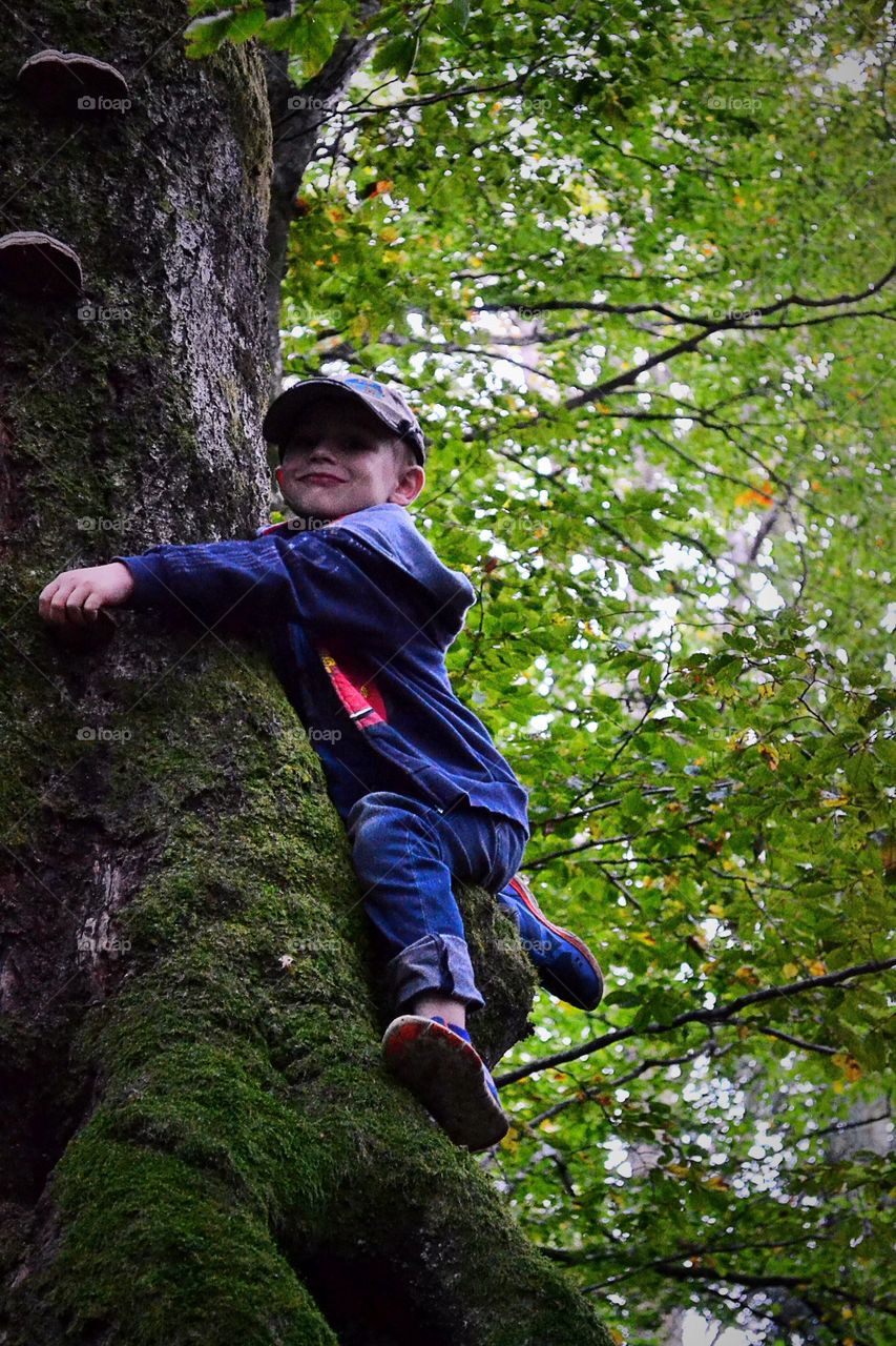 Climbing in the tree