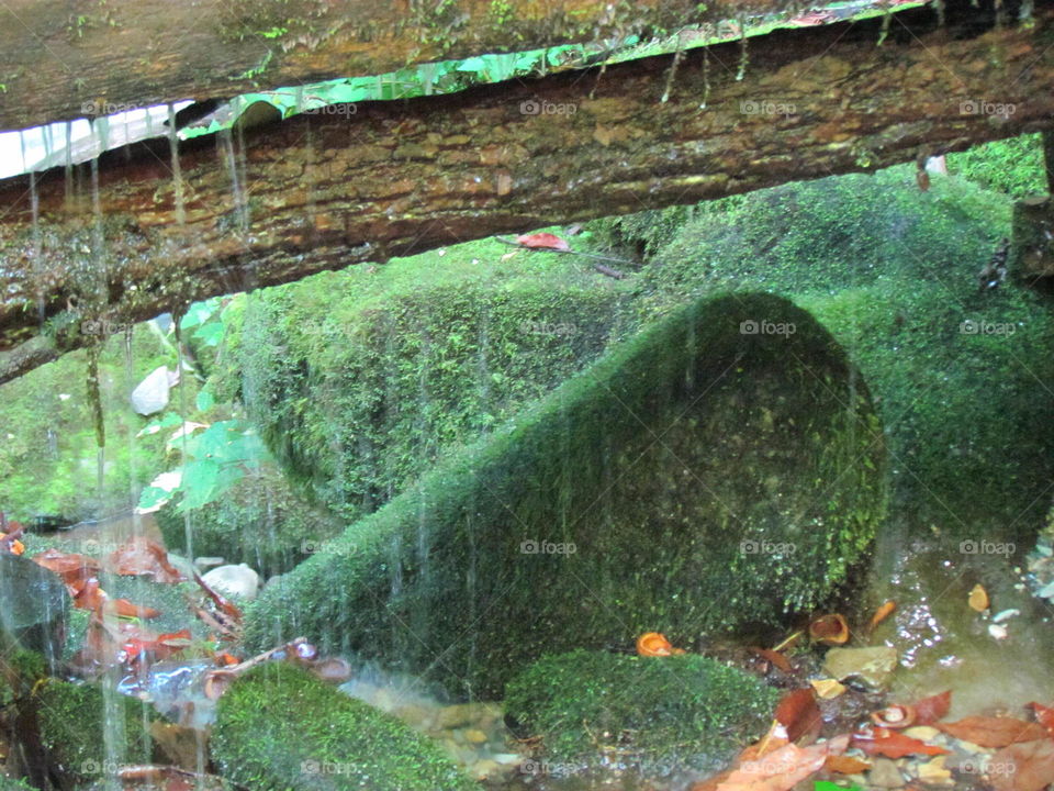 Mossy green. At a mill in Smoky Mountain National Park.  Thought this looked interesting.