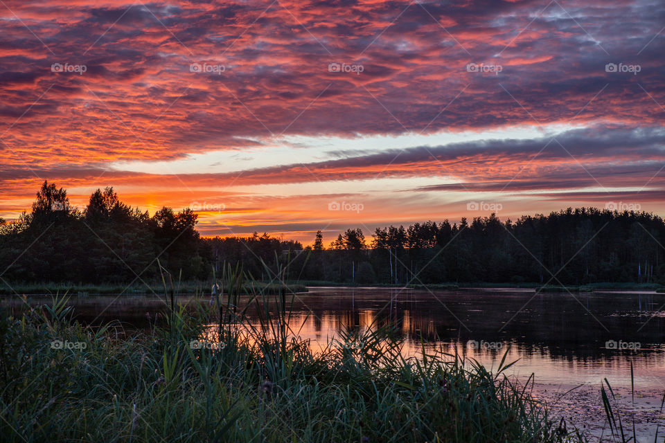 Summer morning.