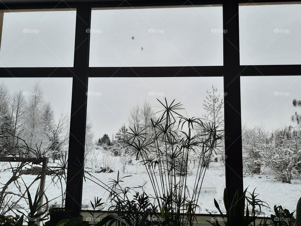 winter landscape through window of conservatory