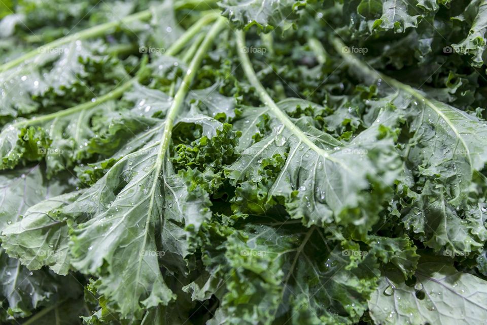 Fresh kale leaves at the market, healthy eating habits