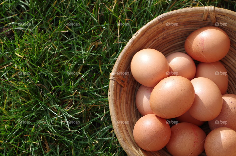 Brown eggs in basket on grass