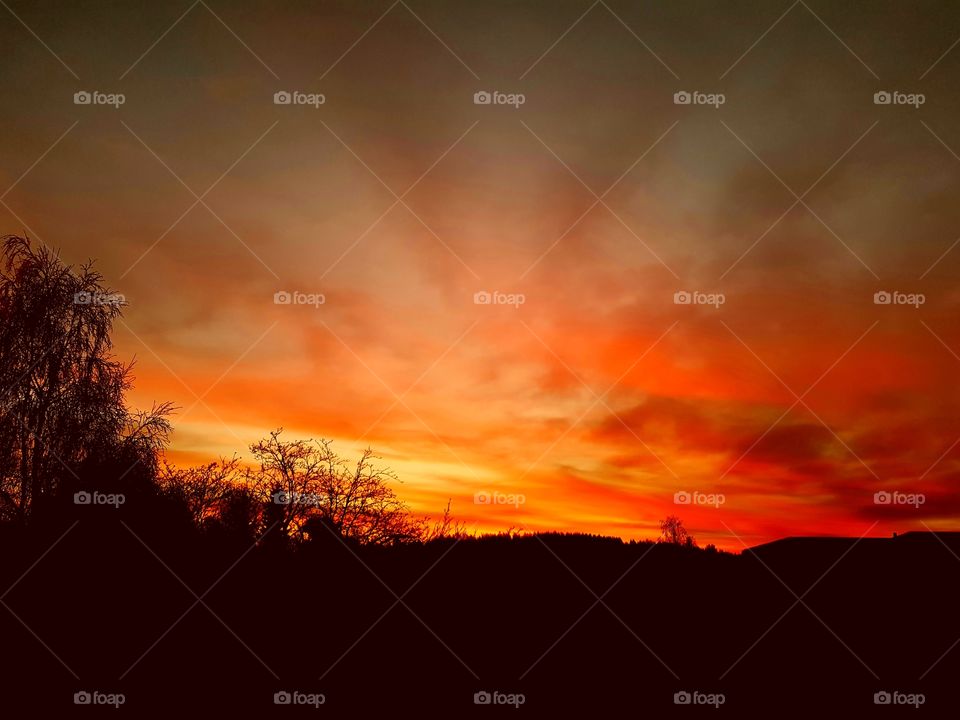 sunlight in the morning