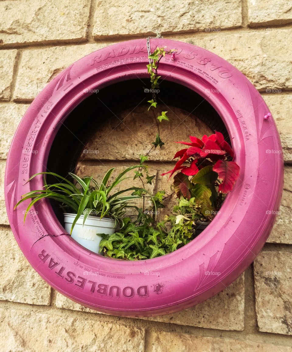 pot plant and flower in a old tyre painted in pink color