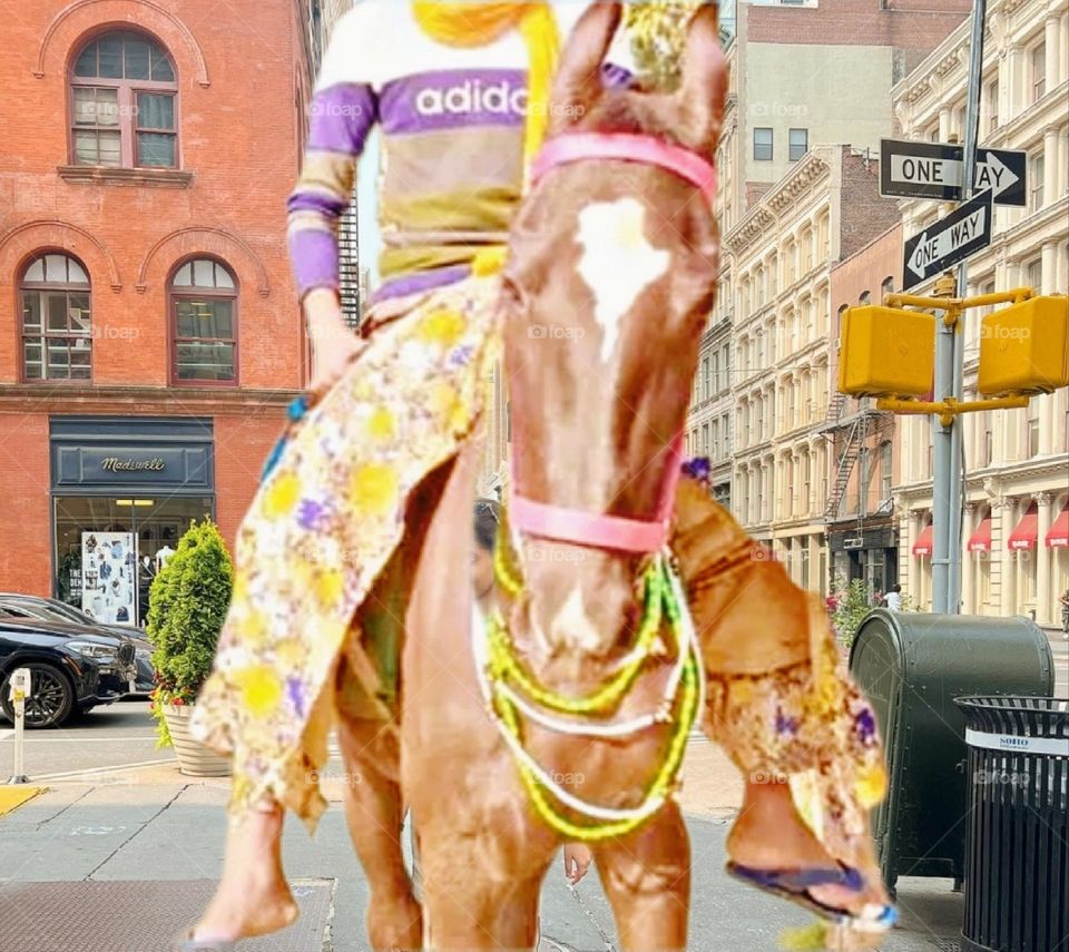 my most beautiful and cute horse.