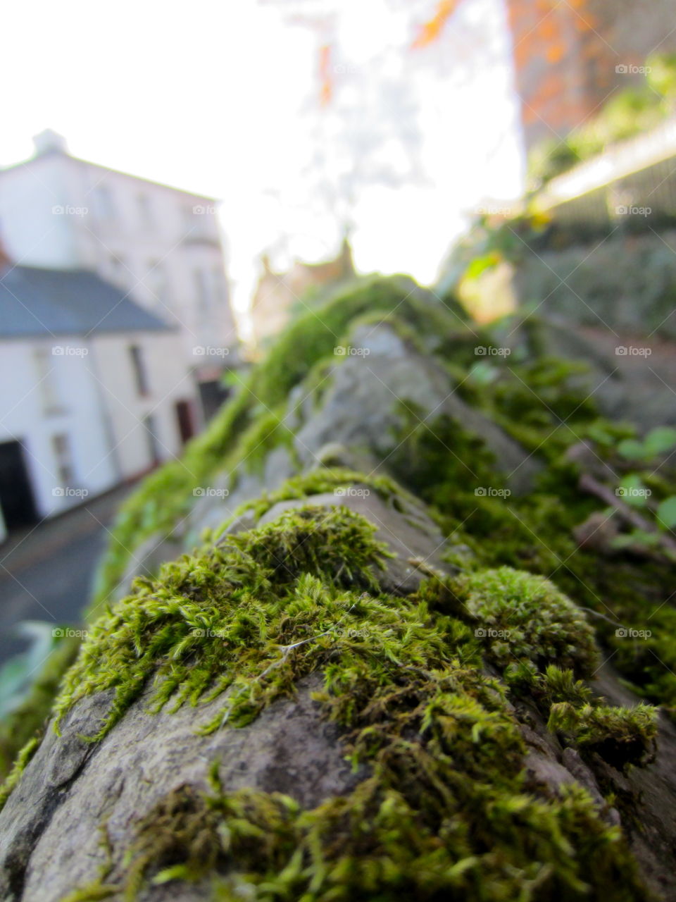 Mossy stone wall. Newport wales