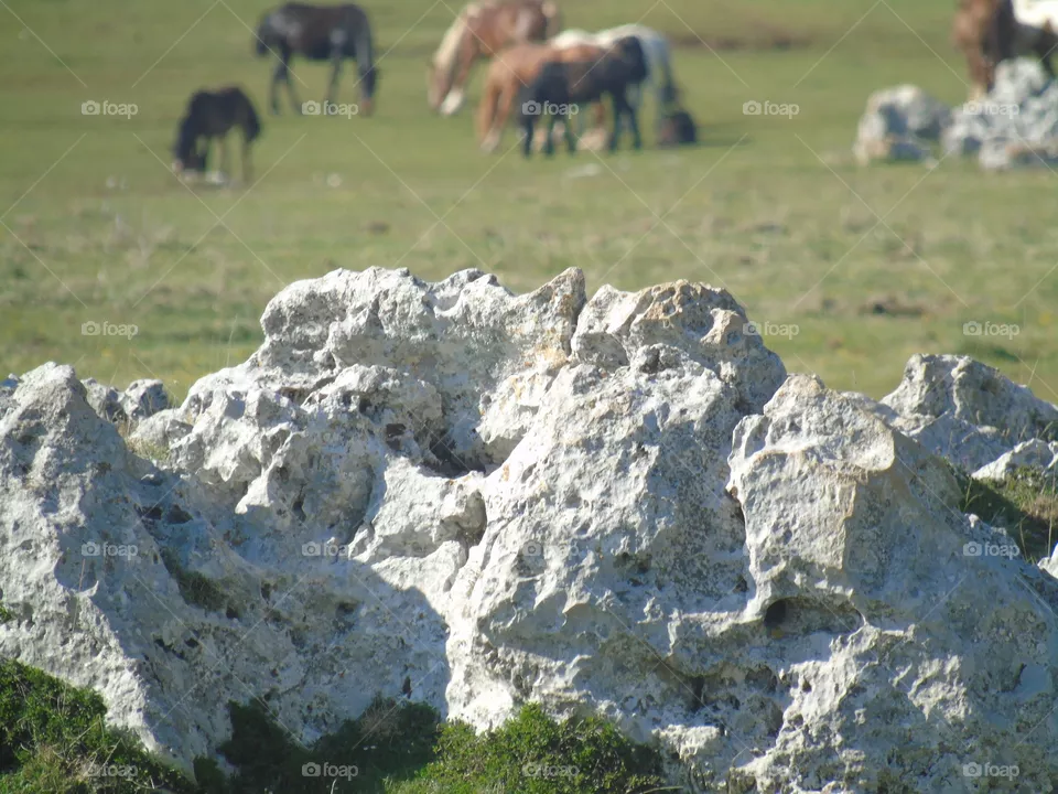 Rocks