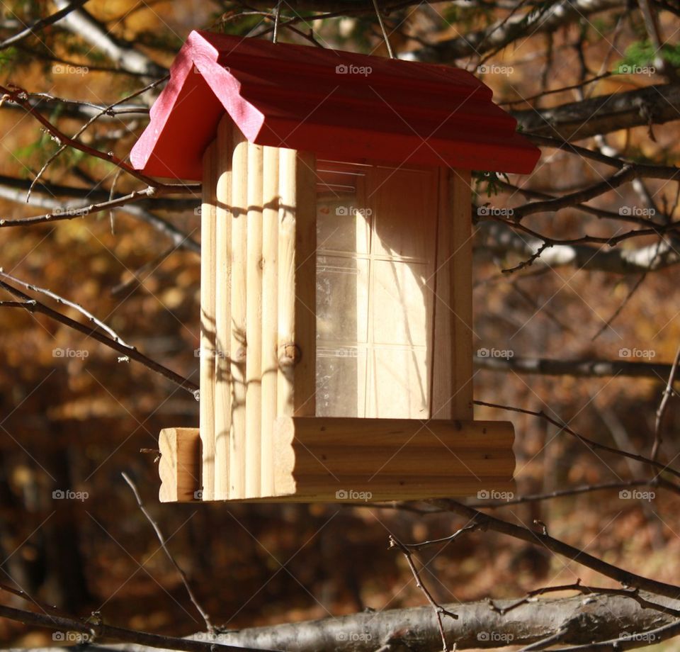 birdhouse