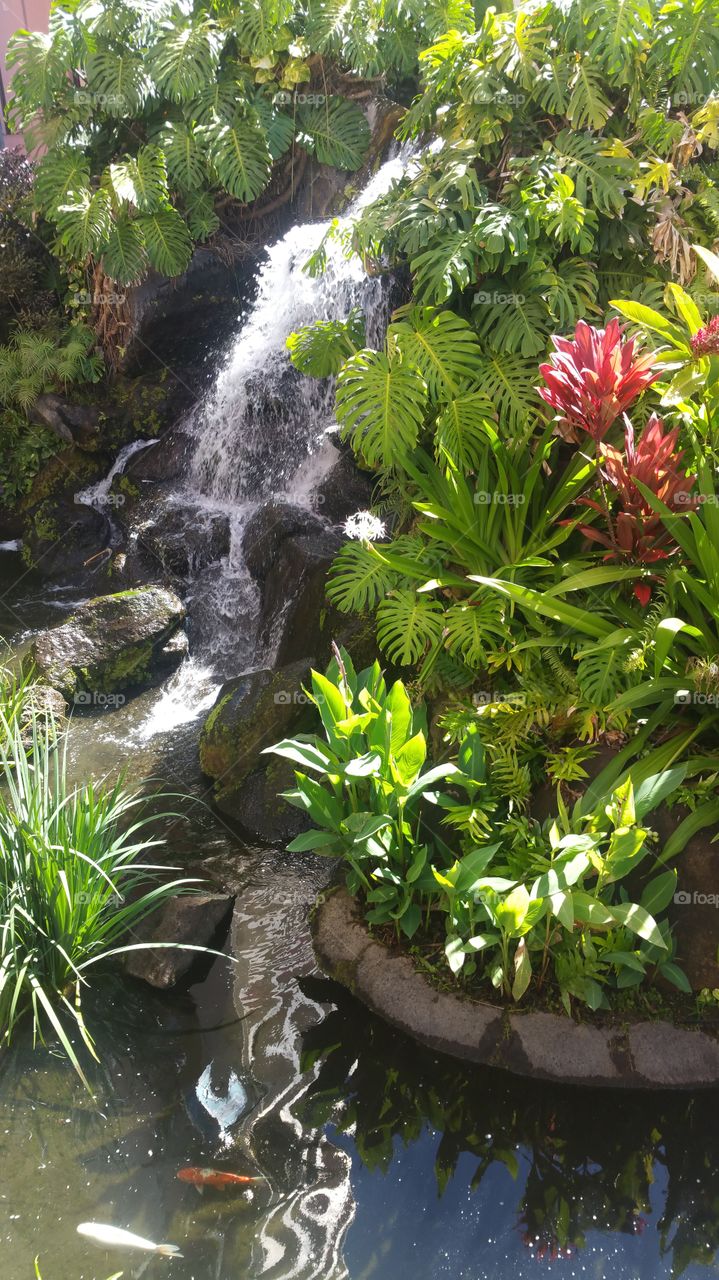 Hawaii waterfalls