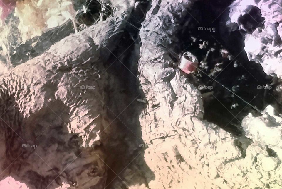 Dead Tree Stump  (tinted)