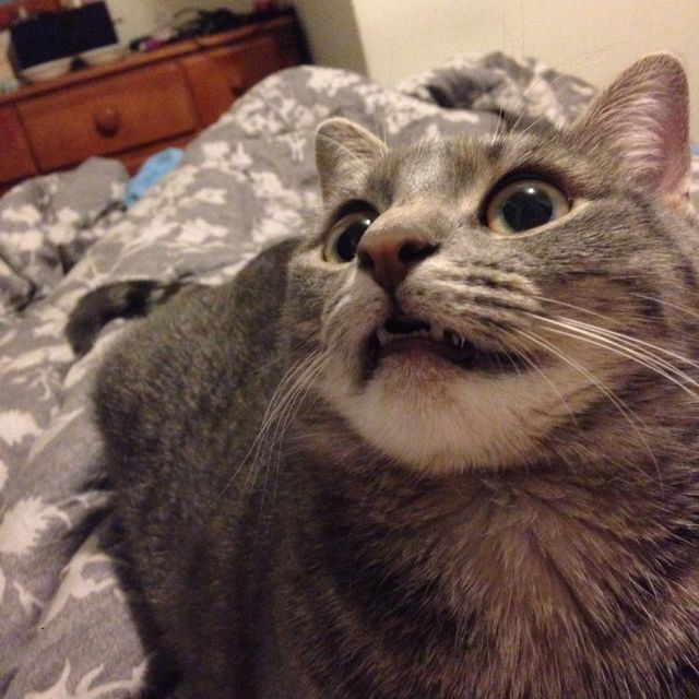 Show your teeth