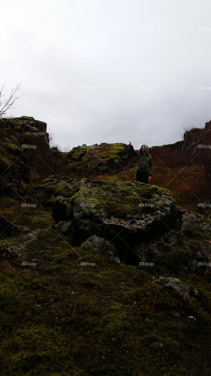 Thingvellir moss