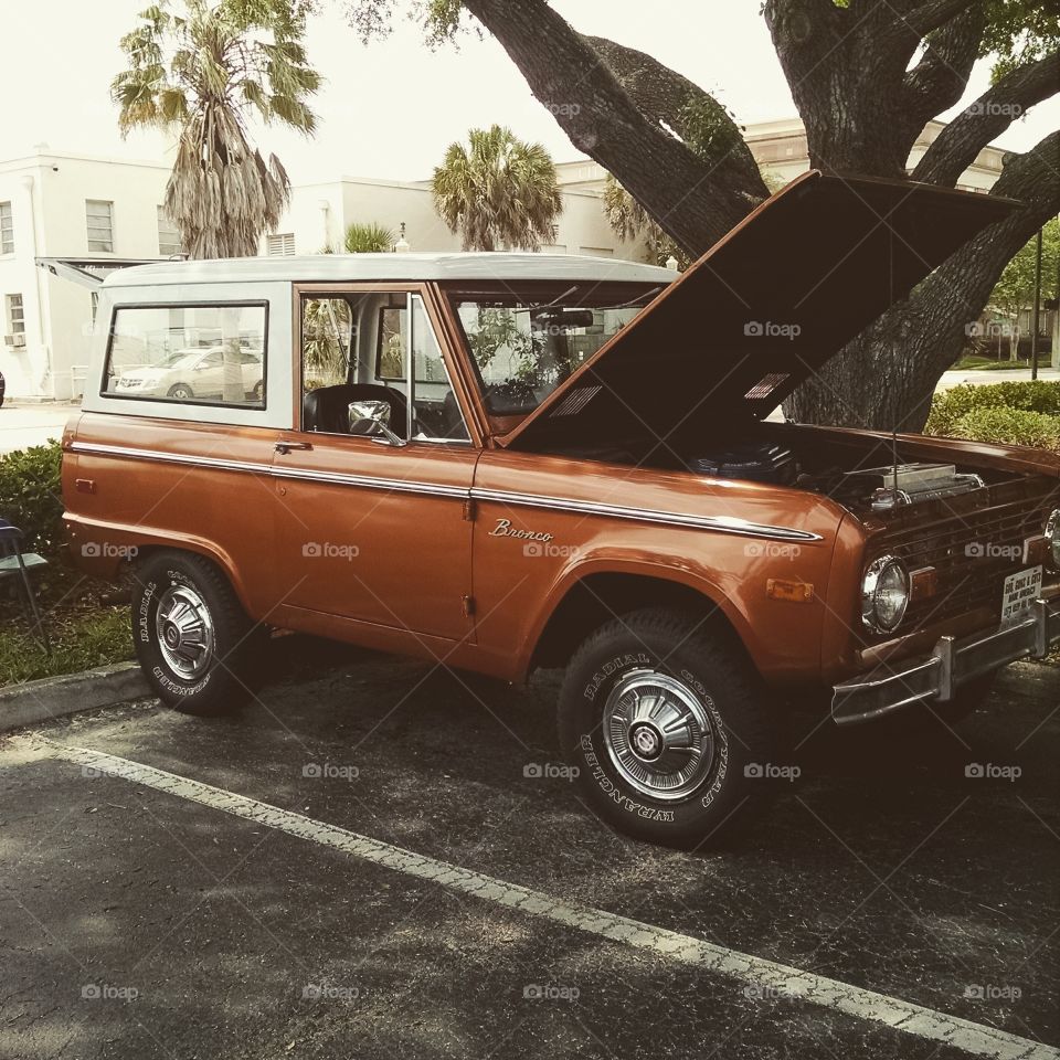 bronco. the best car at the show!