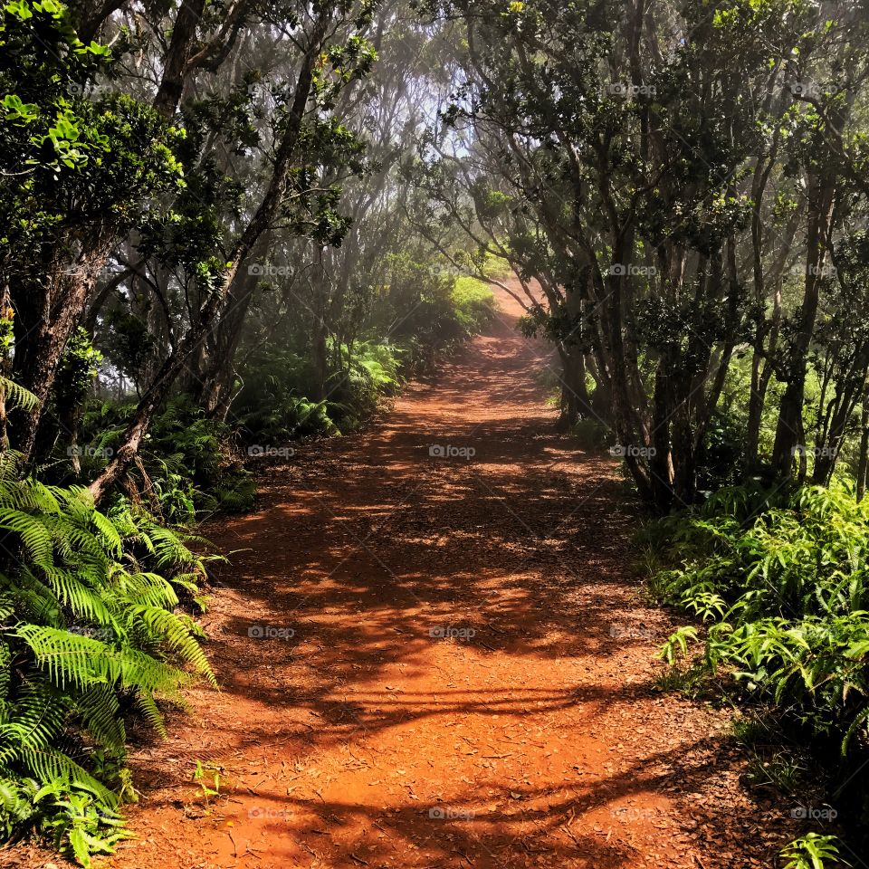 Hiking Kauai 