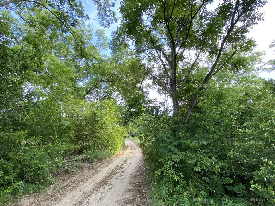Beautiful country road 