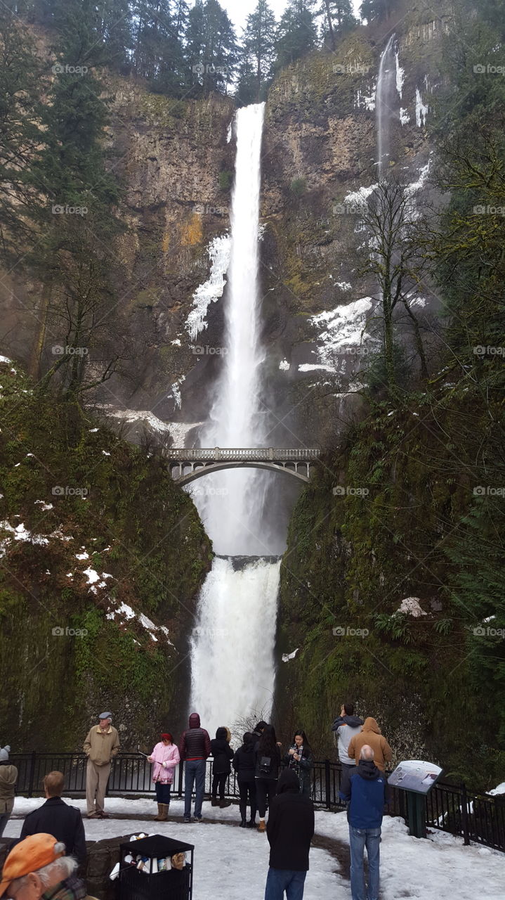 Multnomah Falls - Oregon
