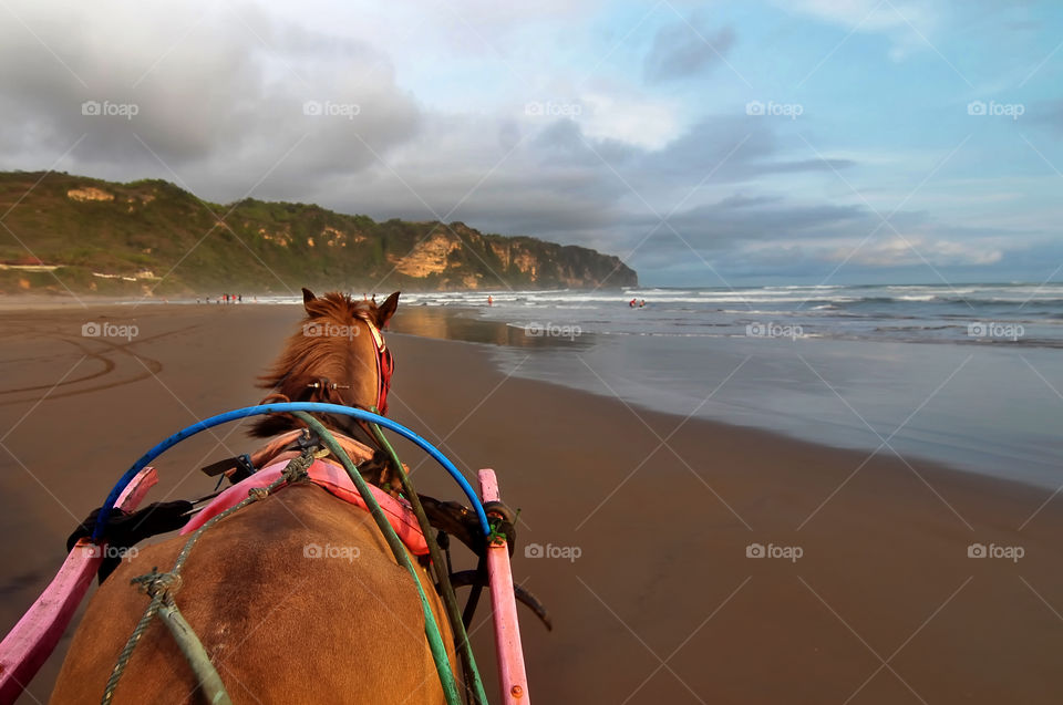 riding horse on a beach