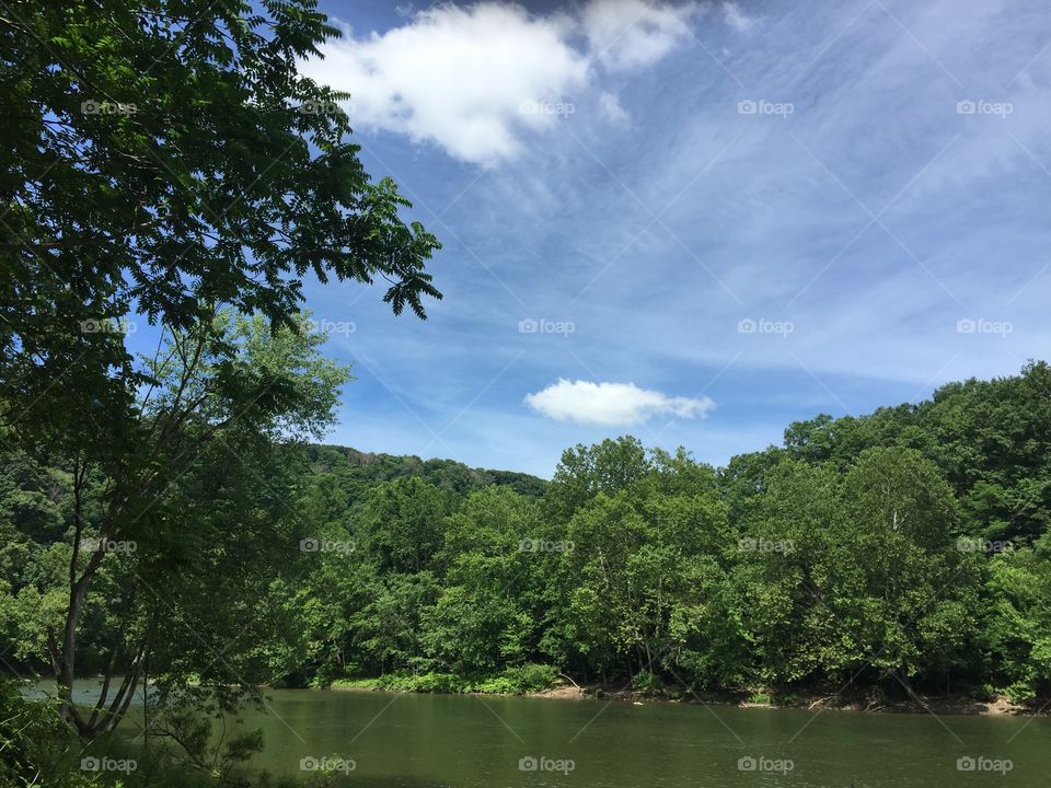 Tree, Landscape, No Person, Water, Nature