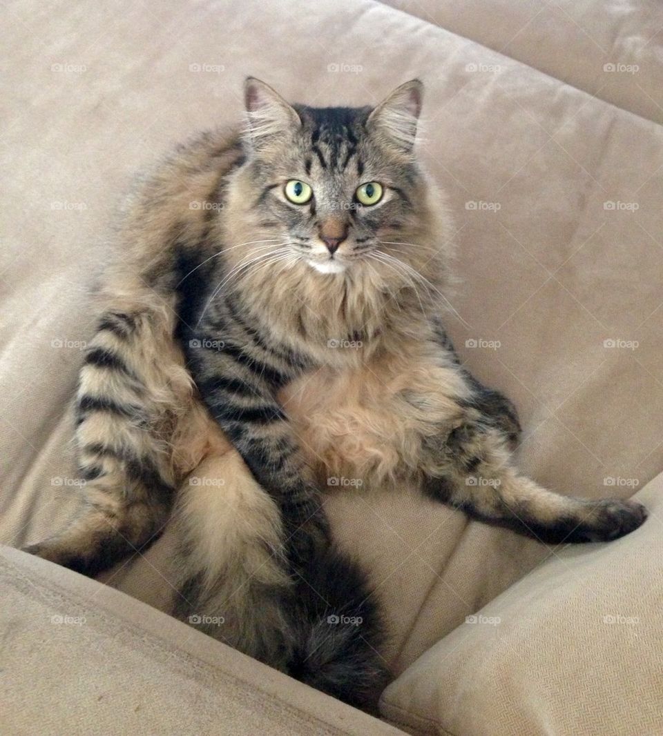 Sitting like a Person