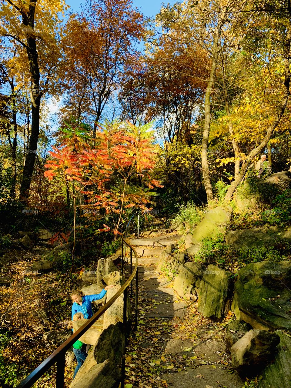 Central Park Foliage One of New York’s Most Famous and Frequently Visited Public Parks During Autumn 2018